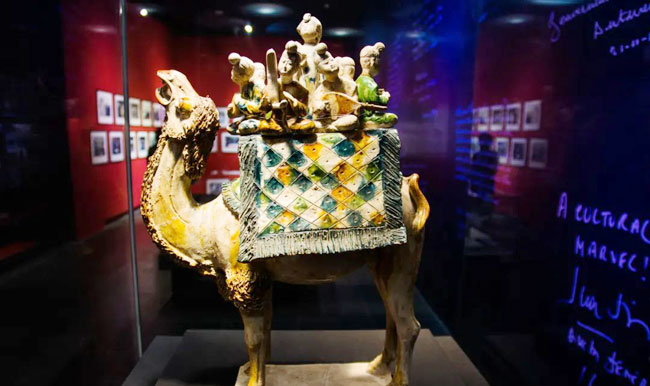 陕西文物亮“家底” 最新数据来了！