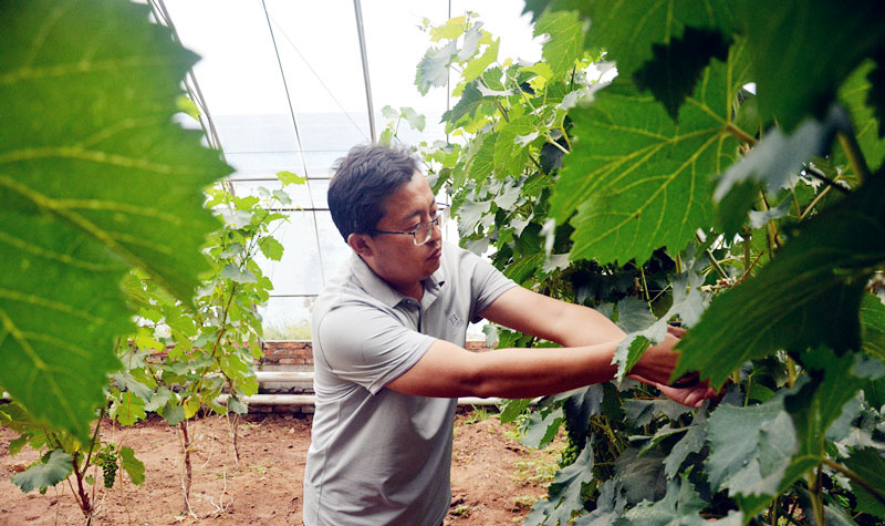 神木：企业发力引活水 奏响振兴最强音