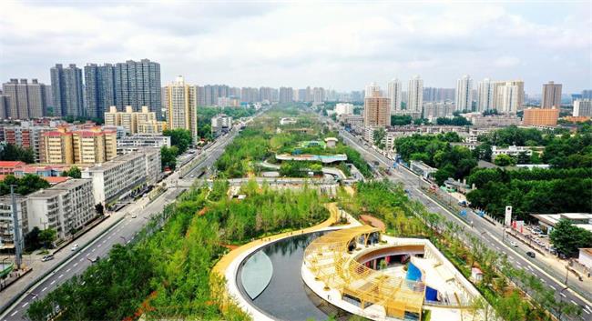 增綠護綠全周期養(yǎng)護 多彩西安將在九月份絢麗綻放