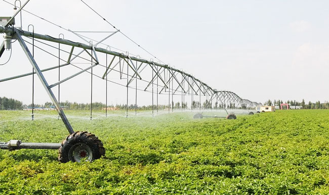 榆阳：争做数字农业“领跑者”