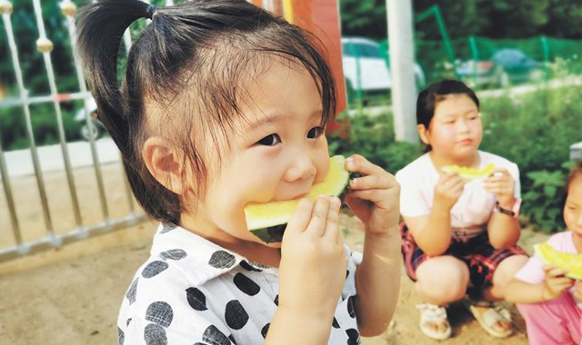 “苏蜜”甜洛南 浓浓苏陕情