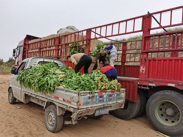 神木蔬菜馳援河南災區(qū) 首批6萬斤已發(fā)車