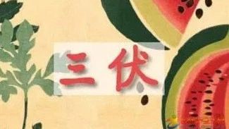 三伏養(yǎng)生應(yīng)以“祛濕”為要