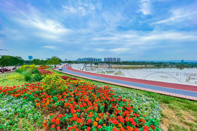 西安城管：“浐灞實(shí)踐”厚植生態(tài)底色 提升城市精細(xì)化管理成色