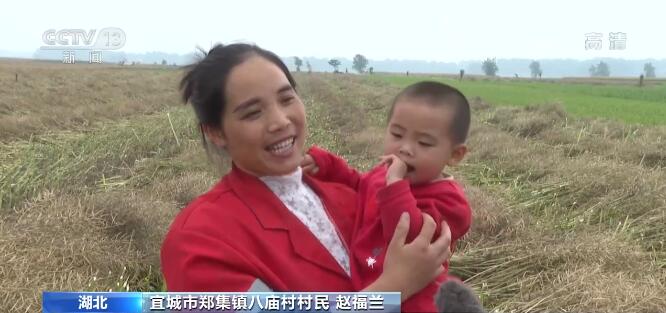 【崇德向善 见贤思齐 德耀中华】赵福兰：勤劳改变家庭命运