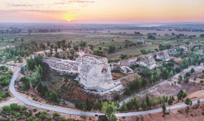 绿意盎然统万城