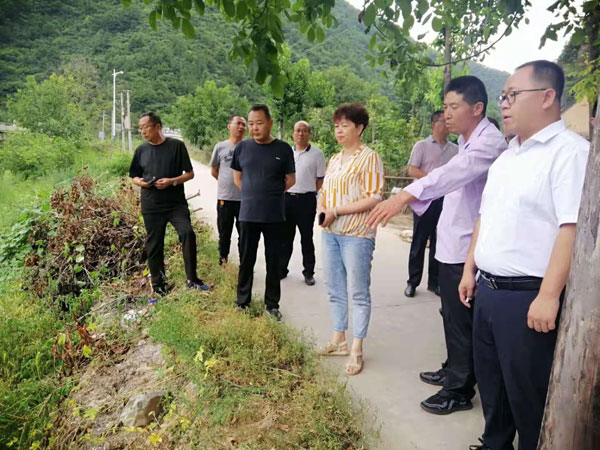 鳳縣政協(xié)組織開展河道堤防防洪提升治理情況專題調(diào)研