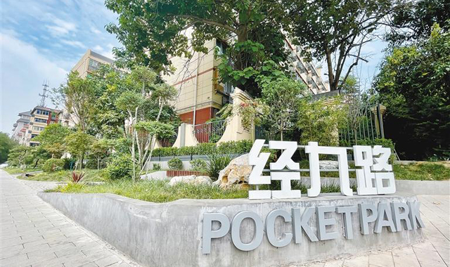 西安经九路变美了！口袋公园建成 20多棵老杨树也保住了