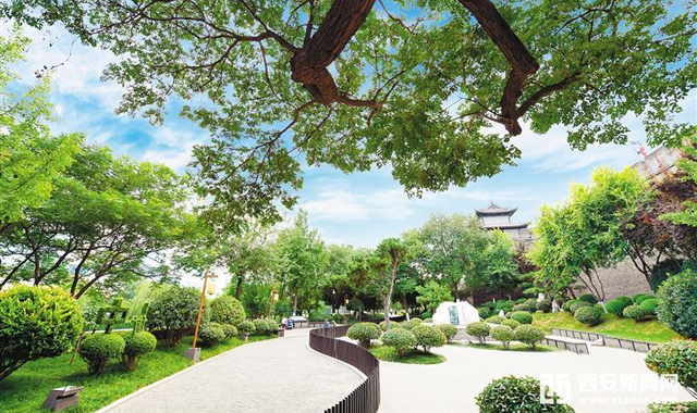 扮靓 擦亮 点亮 我的城