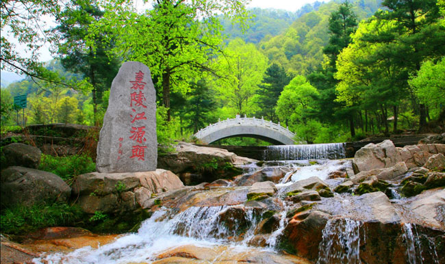 宝鸡：全面推行林长制 实现青山有人管绿树有人护