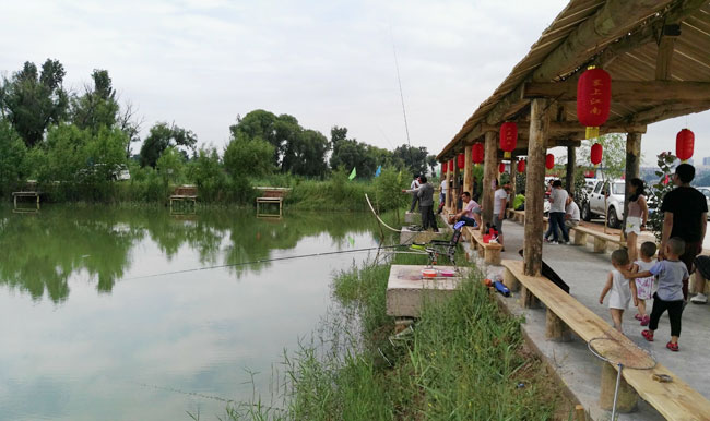 府谷县墙头农业园区：“红色引擎”引领绿色蝶变