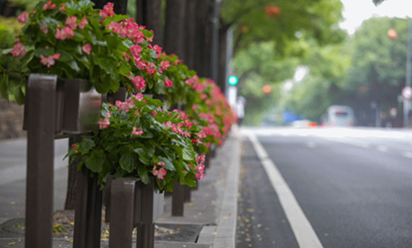 十四运会马拉松赛道上 有曲江最美的风景