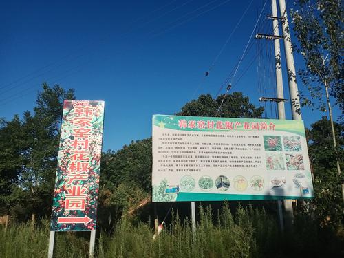 寶雞市政協(xié)：發(fā)揮優(yōu)勢(shì)資源 扎實(shí)做好鄉(xiāng)村振興幫扶工作