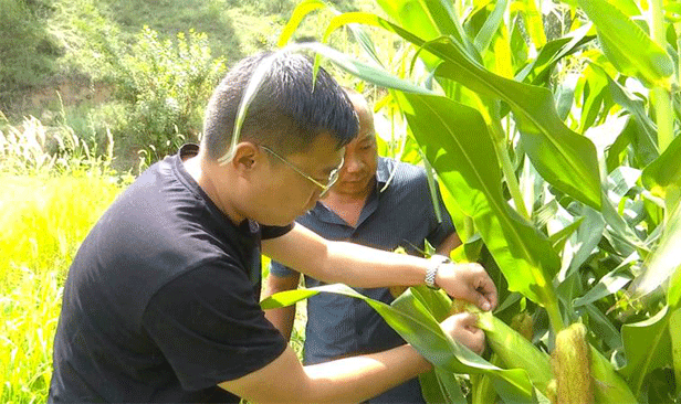 神木：传好驻村工作“接力棒” 续写乡村振兴“新篇章