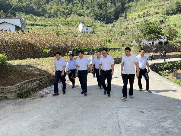 安康市政协一级巡视员马晓旬一行在岚皋县调研农村人居整治工作开展情况