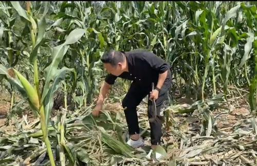 我為群眾辦實事|衛(wèi)軍朋 ：百姓就是我的根