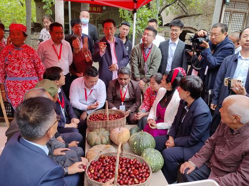 榆林市佳县举行中国农民丰收节暨第四届红枣科技创新和产业发展大会