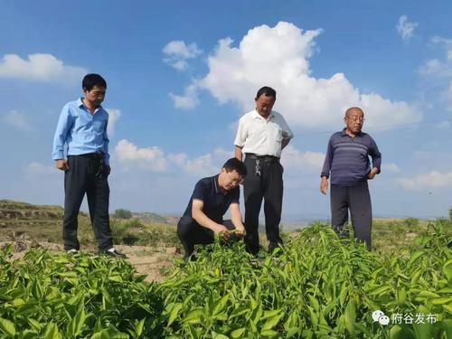 干部“沉下去” 民情“浮上来”！府谷县武家庄镇开展脱贫成果巩固民情大走访大排查