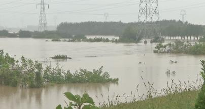 陜西發(fā)布渭河中下游洪水橙色預(yù)警