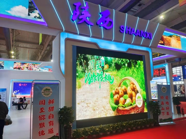 周至獼猴桃亮相第三屆中國(guó)—東北亞博覽會(huì)