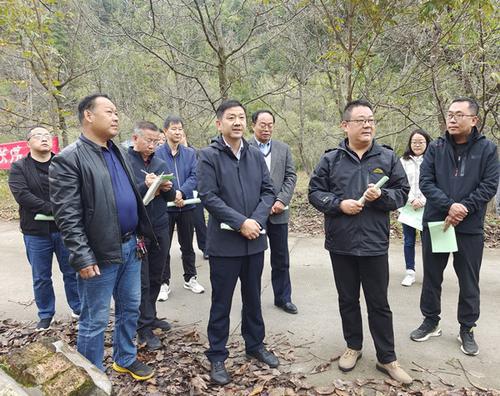 宁陕政协开展核桃产业专项视察