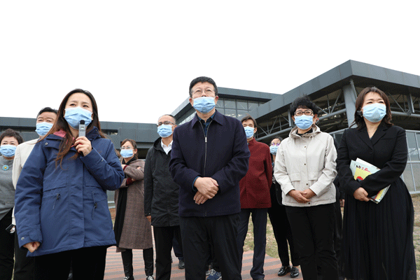 榆林市政协副主席高苗一行赴神木调研文化遗产保护和利用情况
