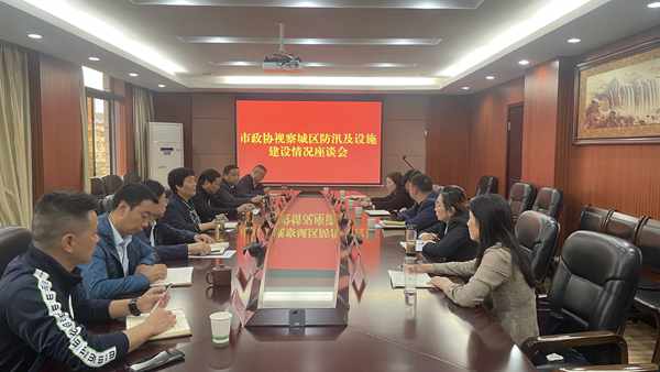 旬阳市政协视察城区防汛及设施建设情况