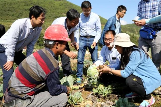 陕西杨凌：执着田畴 打造知名农业硅谷