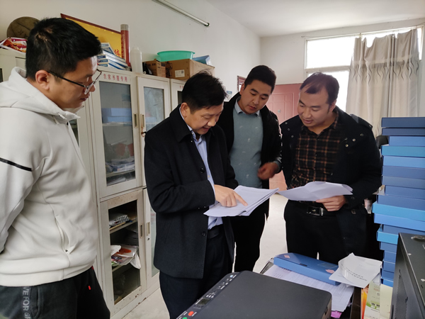 陈述勇到梅子镇生凤村督导乡村振兴工作