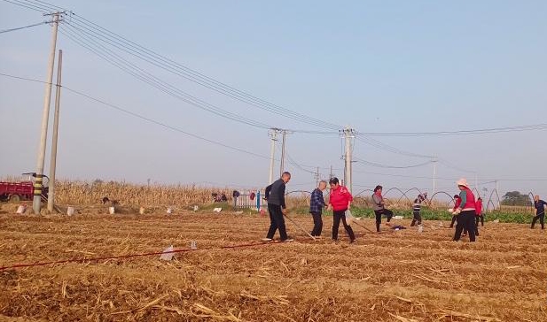 西安市秋粮收获基本结束 秋粮丰收已成定局