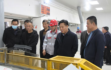 耀州区政协专题视察项目建设和乡村产业发展情况