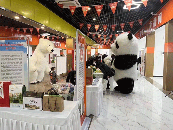 咸阳举行2021年度网络消费品牌盛典暨“双十一”电商暖冬行动