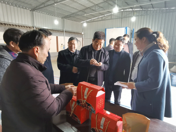 宝鸡市政协赴扶风县调研乡村振兴工作及重点项目建设