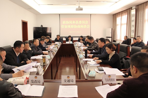 岚皋县政协就城区规范停车工作开展视察并召开协商座谈会