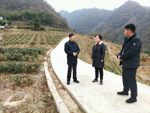 宁陕政协督导巩固拓展脱贫攻坚成果同乡村振兴有效衔接工作