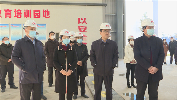 陈仓区政协视察重点项目建设情况