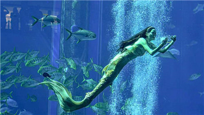 首届中国美人鱼表演赛见证新兴水上运动蓬勃发展