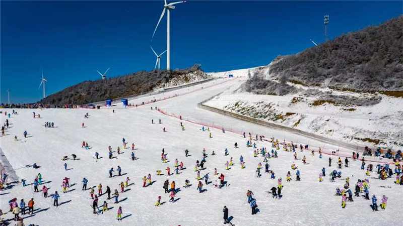 長城內(nèi)外大眾冰雪報春花