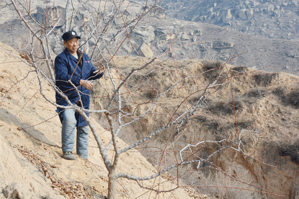 李旭科: 用實(shí)干將200畝荒山變果園