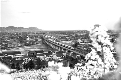 最美油菜花海汉中旅游文化节3月将在南郑举行 5个观花海基地新鲜出炉