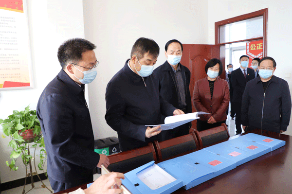 王宁岗在丹凤县调研时强调 汇聚起打造“一都四区”强大合力