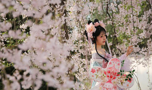 穿汉服赏樱拍照成青龙寺樱花季最美一景