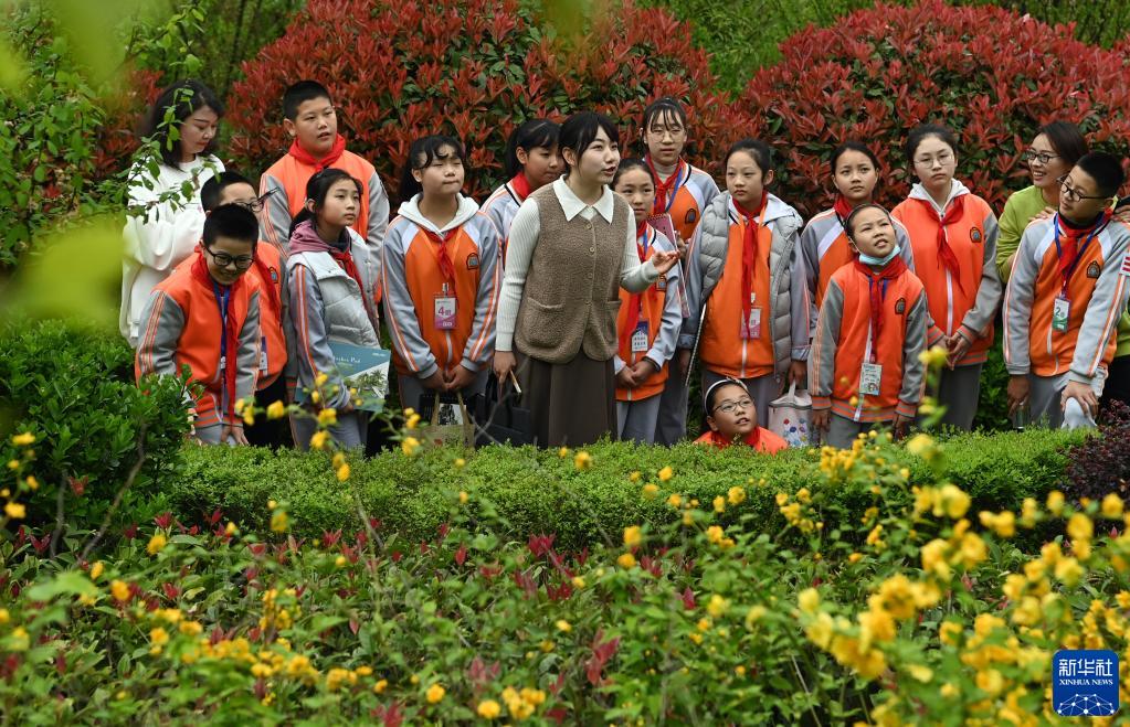 3月31日，岚皋县城关第二小学邀请县林业局专业人员向学生们介绍植物知识。