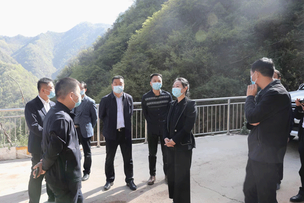 山阳县政协调研项目建设工作