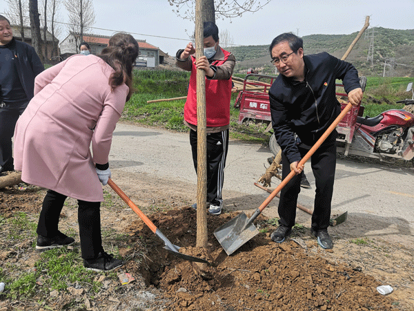麟游县政协：党建领航振兴路 携手创建红旗村