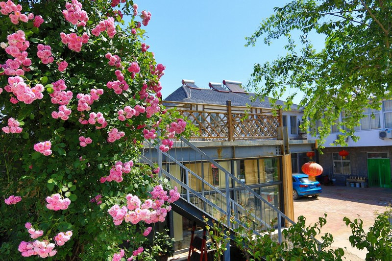 奮進(jìn)新征程 建功新時(shí)代·老區(qū)新貌丨小山村“貸”來4300萬元的背后