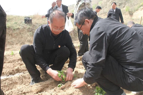 “进农户，听民声，惠民生”——绥德县政协组织开展主题党日活动