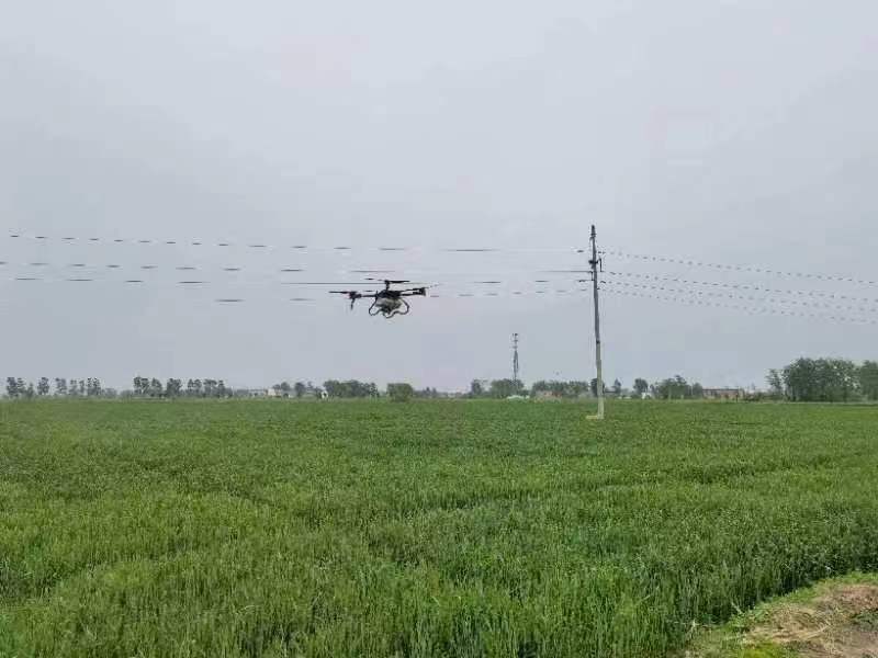 奮進(jìn)新征程 建功新時代·偉大變革｜昔日小崗“驚雷起” 如今江淮“花盛開”