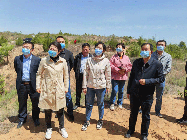 榆林市政协副主席惠德存赴神木调研古树名木保护利用及旅游开发情况