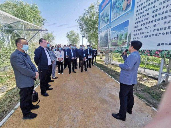 麟游县政协赴洛川等地考察学习苹果产业发展情况